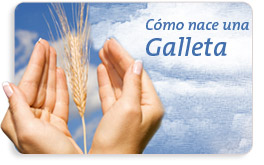 Come Nasce un biscotto